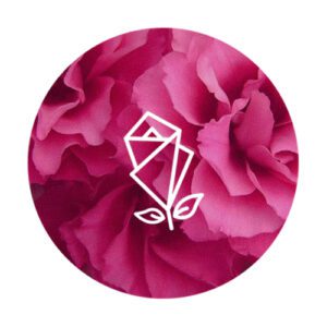 Lisianthus